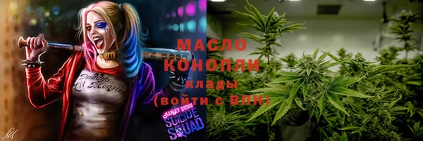 молекула духа Белая Холуница